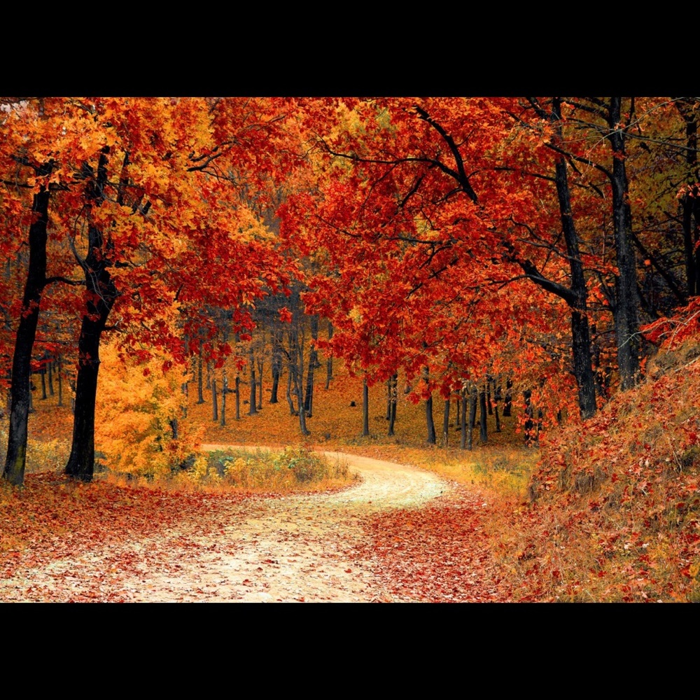 Fall colors